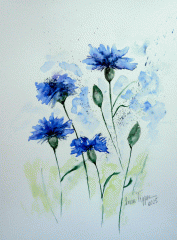 Kornblumen (verkauft)